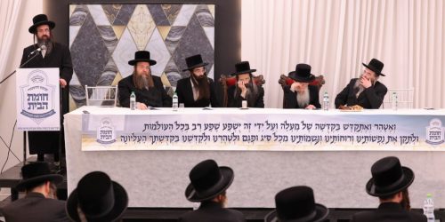 סטריקוב. צילום צ (17)