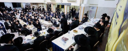 סיום הרמב''ם. צילום דב בער הכטמן (70)