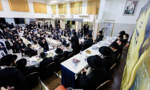 סיום הרמב''ם. צילום דב בער הכטמן (70)