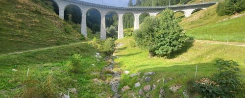 סיכום-מחנה-חיים-לילד-2024-3