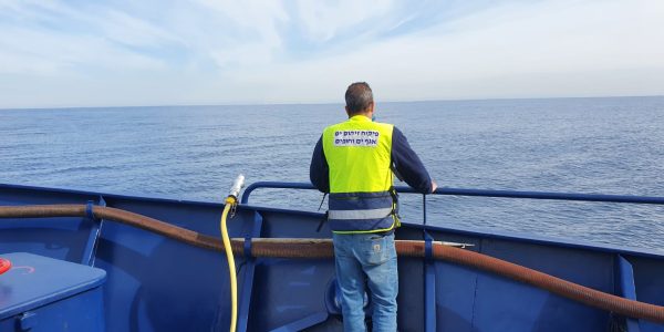 סריקות של אונית בת גלים. צילום_ רם גרינוולד, המשרד להגנת הסביבה(1)