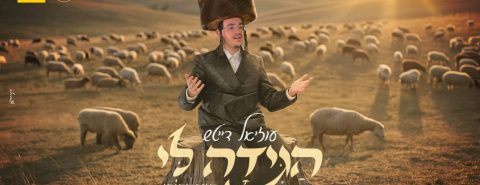 עטיפה הגידה לי