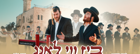 עטיפה מלבנית ביז ווי לאנג
