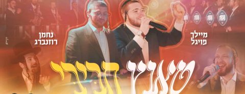 עטיפה מלבנית טאנץ חביבי