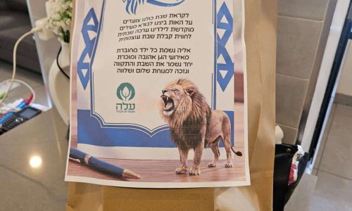 עלה -ערכות לבית