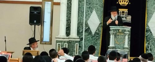 צילום: ש.פ.ה