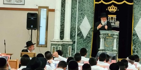 צילום: ש.פ.ה