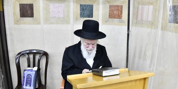 צילום: שוקי לרר