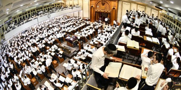 צילום: שוקי לרר