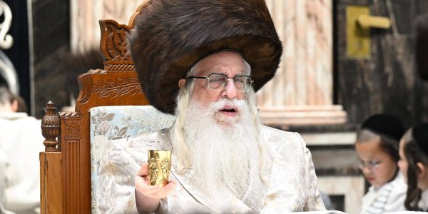 צילום: משה גולדשטיין