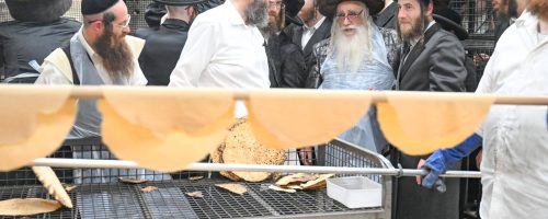 פסח-בחצר-הקודש-צאנז.-צילום-משה-גולדשטיין-38