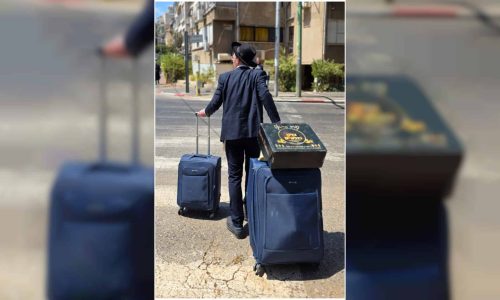 צילום ארכיון: אלעזר פיינשטיין