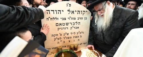 כ"ק האדמו"ר מצאנז • צילום: משה גולדשטיין