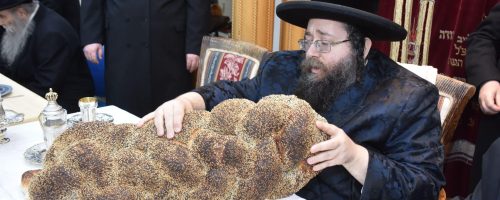 צאנז זמיגרד  (10)