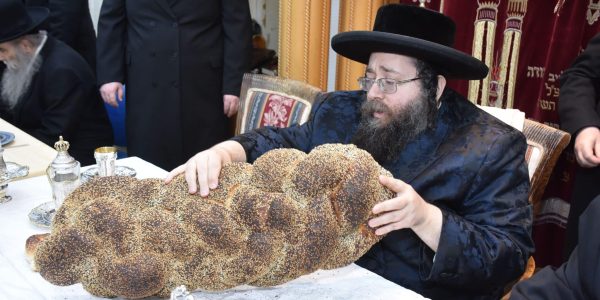 צאנז זמיגרד  (10)