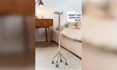 צבר -הסדרת אישפוזים -תמונה