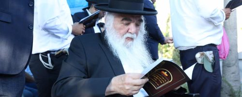 צילום דוד ארזני