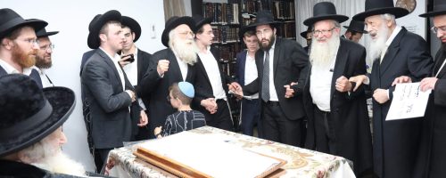 צילום: דוד ארזני