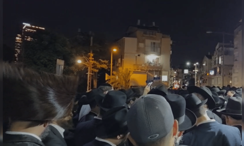 צילום דוד קשת