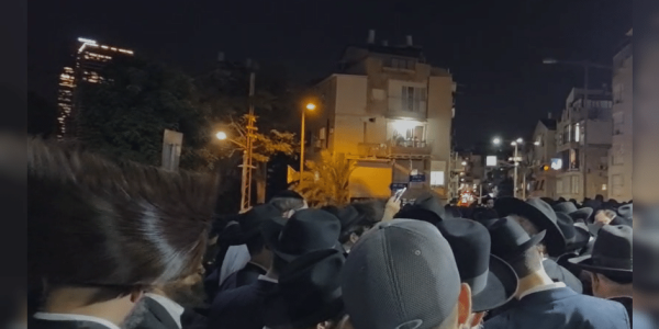 צילום דוד קשת