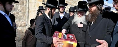 קרדיט צילום: יהושע פרוכטר