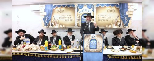 צילום יקב כהן (1)