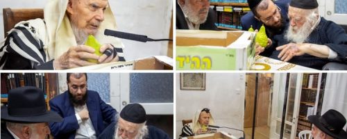 צילום מסך 2021-09-12 161639