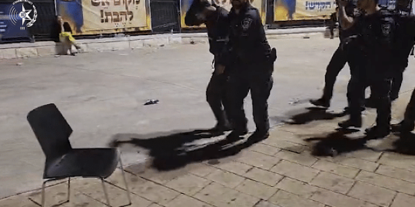 צילום דוברות המשטרה