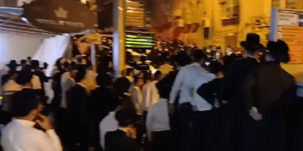 צילום: מוטי פרץ