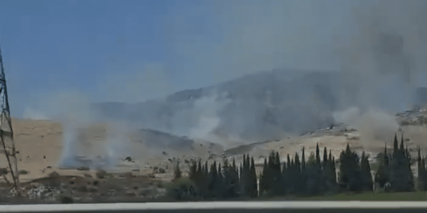 צילום מסך 2024-07-04 113306