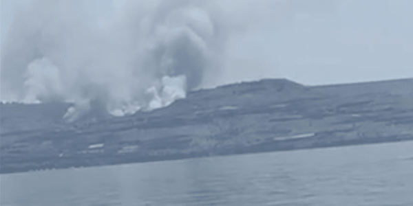 צילום מסך 2024-07-04 114433