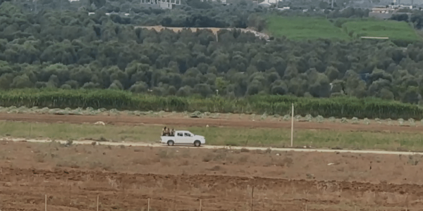 צילום מסך 2024-07-05 032331