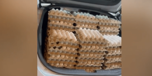 צילום מסך 2024-07-22 110513