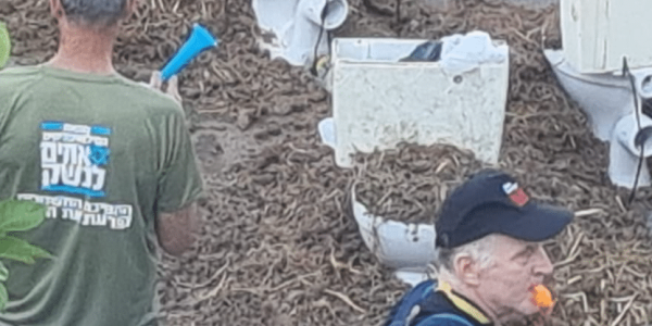 צילום מסך 2024-07-23 104430