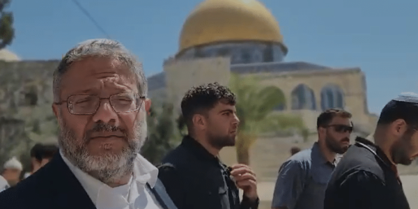 בן גביר בהר הבית - צילום: ללא