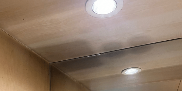 צילום מסך 2024-08-18 091401