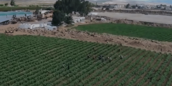 צילום מסך 2024-09-17 092228