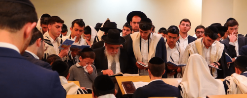 צילום-מסך-2024-10-14-095844