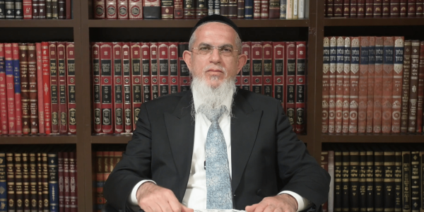 הגאון הגדול רבי יוסף הללויה. צילומסך