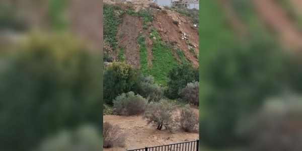 צילום מסך 2026-01-13 155354