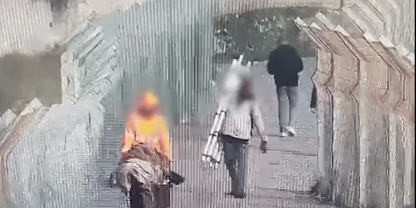 צילום מסך 2026-02-12 181017