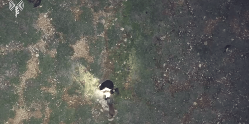 צילום מסך 2026-02-14 192225