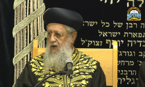 צילום מסך 2026-02-21 211149