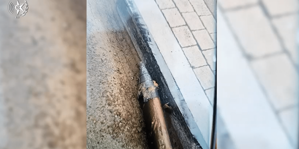 צילום מסך 2026-03-15 205444