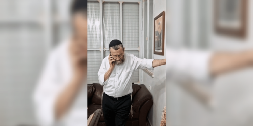 גפני. צילומסך