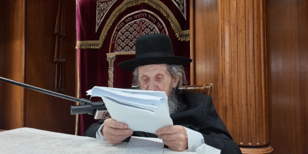 מרן הגר"ד לנדו. צילומסך