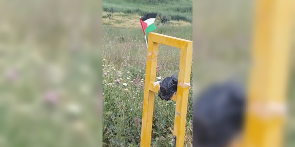 צילום מסך 2026-04-28 233117