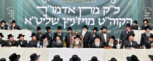 קבלת פנים לאדמו''ר מויז'ניץ. צילום - יהושע פרוכטר (33)