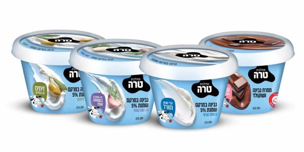 קומפוזיציה טרה שמנת 1600