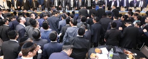 קנה דעת. צילום יעקב כהן (23)